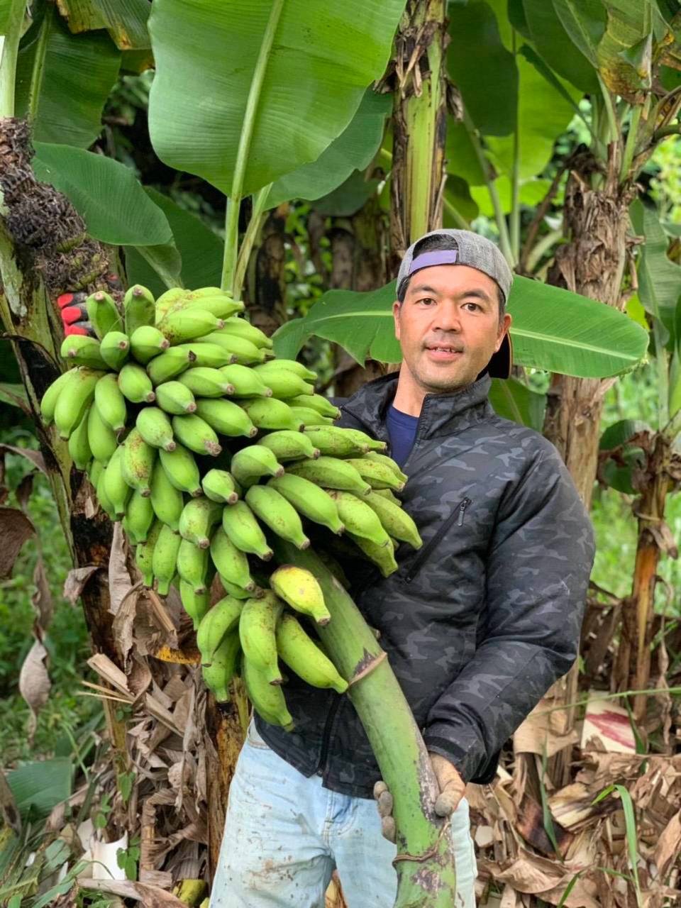 【旬のとっておき】沖縄産🍌バナナ 📦️80サイズ(約4〜5kg)