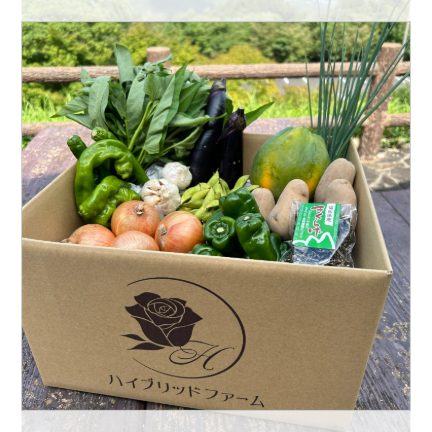 【定期便/１年間】新鮮お野菜BOX
