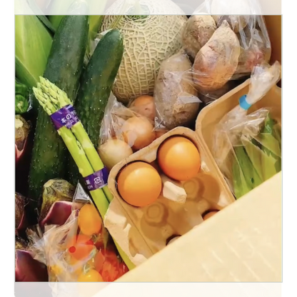 【単発便】新鮮お野菜BOX