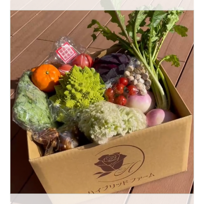 【単発便】新鮮お野菜BOX
