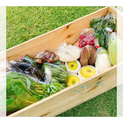 【単発便】新鮮お野菜BOX