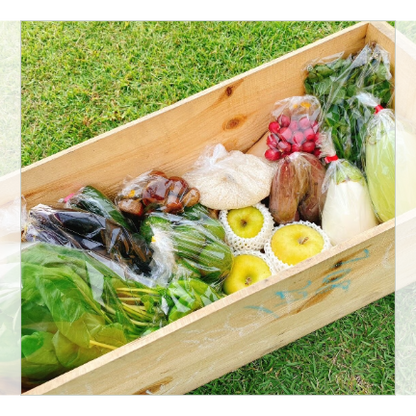 【単発便】新鮮お野菜BOX