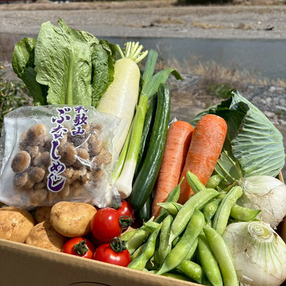 【定期便/１年間】新鮮お野菜BOX