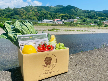 【定期便/１年間】新鮮お野菜BOX