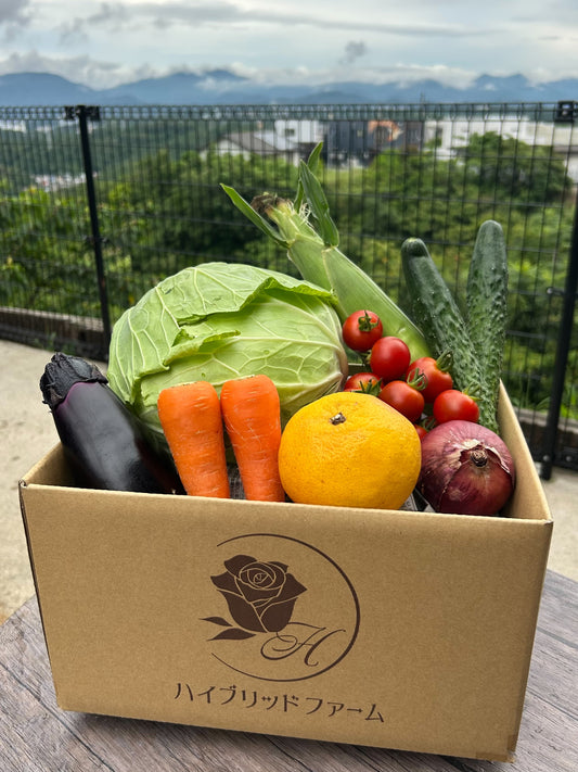 【定期便/１年間】新鮮お野菜BOX
