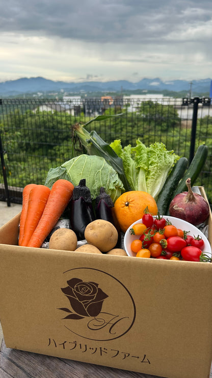 【定期便/１年間】新鮮お野菜BOX