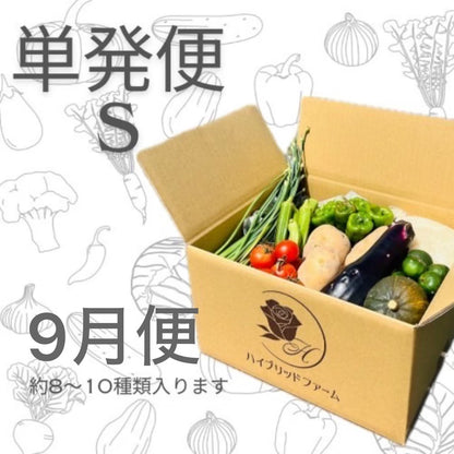 【単発便】新鮮お野菜BOX