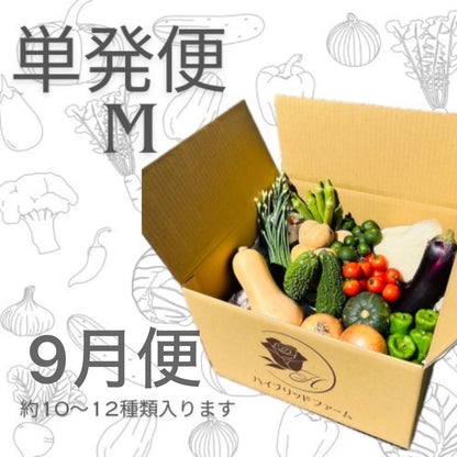 【単発便】新鮮お野菜BOX