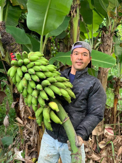 【旬のとっておき】沖縄産🍌バナナ　📦️100サイズ(約9kg)