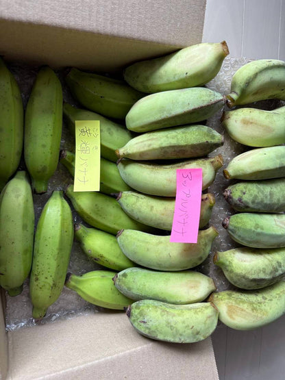 【旬のとっておき】沖縄産🍌バナナ　📦️100サイズ(約9kg)