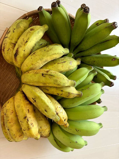 【旬のとっておき】沖縄産🍌バナナ　📦️100サイズ(約9kg)